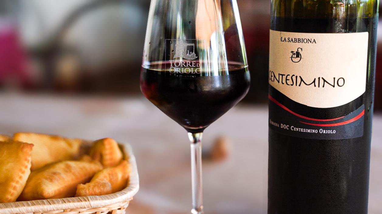 Agriturismo E Cantina La Sabbiona Faenza Luaran gambar